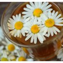 김포부부한의원 이미지