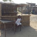 야자수 나라에서 만난 우리 이미지