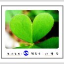서해철강 이미지