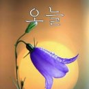 옵데강 이미지