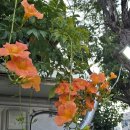 경산연합이비인후과 이미지