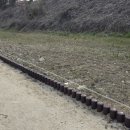 연희중학교 이미지