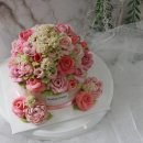 롤리앤폴리 이미지