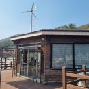 선기로1-1 Daum카페