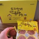 깜식당 | 가족여행이 될 뻔 했으나 미구워크샵이라 칩시다 ~