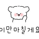 파우스애견미용실 이미지