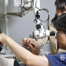 동아보청기 이미지