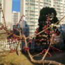 관악산현대홈타운 이미지