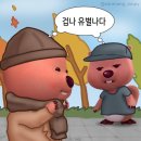 웨딩준비 웨딩촬영 헤어변형 우기헤어 후기