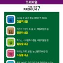 서울신강초등학교 이미지