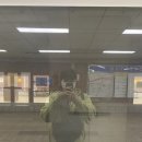 제주 여행, 혼자 왔습니다 (골든데이지호텔, 오는정김밥, 서복전시관, 정방폭포, 자구리공원, 올레시장)