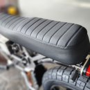 WEPED