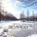 메타길5(어린이프로방스) 이미지