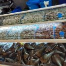 부산조개창고 명지점 이미지