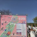 아리수분식 | 양주 회암사지 왕실축제 일정표 주차 즐길거리 준비물 후기