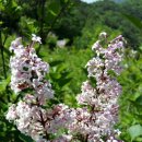 개화농장 이미지