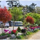 태안힐링캠프 | 태안펜션 노을의 감동, 태안힐링캠프펜션 후기