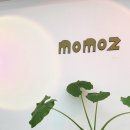모모즈헤어&증모