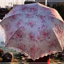양*용 - 영덕군 예주길 | 양*용