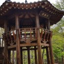 초록산등산로 이미지