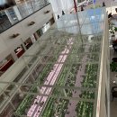 더쉐프PC 카페 | 양주 베이커리 카페 윤쉐프정직제빵소 본점 방문 후기