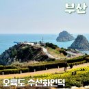 해운대우체국 앞 교통섬 | 부산 오륙도 수선화 실시간 개화 소식 봄이 오면 꼭 가봐야 할 오륙도해맞이공원