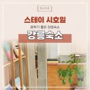 스테이시호일 | 강릉 숙소 스테이시호일 감성적인 분위기가 좋은 독채 추천