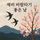 빨강제비