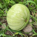 맷돌농장 이미지