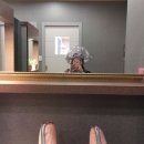 르칼피아 이미지