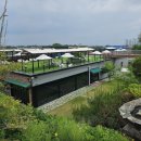 수목원 | [전주 카페] 수목원 앞 전주대형카페 &#39;카페수목원&#39; 후기