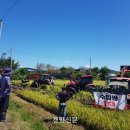 철원새마을금고 미곡종합처리장 이미지