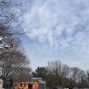 아산식당 | 아산 영인산, 육개장 맛집 염치식당 후기