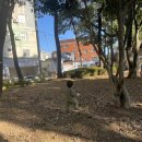 거북선공원2길 이미지