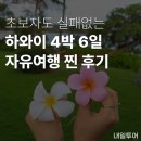삼성카타운 | 내일투어 하와이 금까기(자유여행) 후기 오아후 6일 7일 맞춤 추천 일정