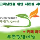 [양파,마늘 재배방법] 9월초에 양파모종준비/9~10월 마늘파종등~ 9월과 10월은 양파와 마늘재배를 준비!! 재배방법을 알려드려요~ 이미지