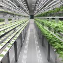 그린바이오앱 이미지