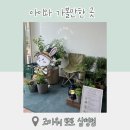 꼬르륵 | 고마워 토토 삼성 본점 꼬르륵 캠핑 수업 후기, 아쉬운점