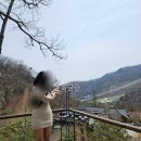 [공지] [경기/광주] 화담숲 25년 4월 9일 실시간 후기 벚꽃 개화 상황