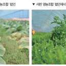 서편영농조합법인 이미지