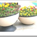 담양체육관 이미지