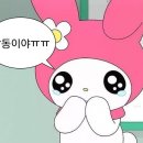 쀼 | 대구 결혼식 여자 사회자 계약후기, 똑소리 지구쀼 전지혜 아나운서 추천! 선택 기준은