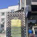 복고다방 | 한신대 카페 찾는다면 여기! 가성비 좋은 복고다방 한신대점 민초스무디 후기