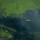 신단1길 이미지