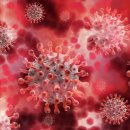 가야제일의원 이미지