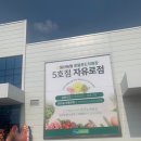 일산농협 로컬푸드직매장 자유로점 오픈 세일 후기