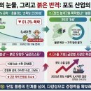 샤인글로리
