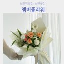 예뜰플라워 - 서구 가장로 100 | [노원역꽃집] 노원역 감성꽂집, 엠버플라워에서 꽃다발 후기