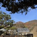 테라스의 아침 네이버블로그