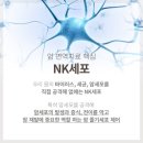 조용히 스며드는 위암, 반지세포암에 대해서 베르니포레의원